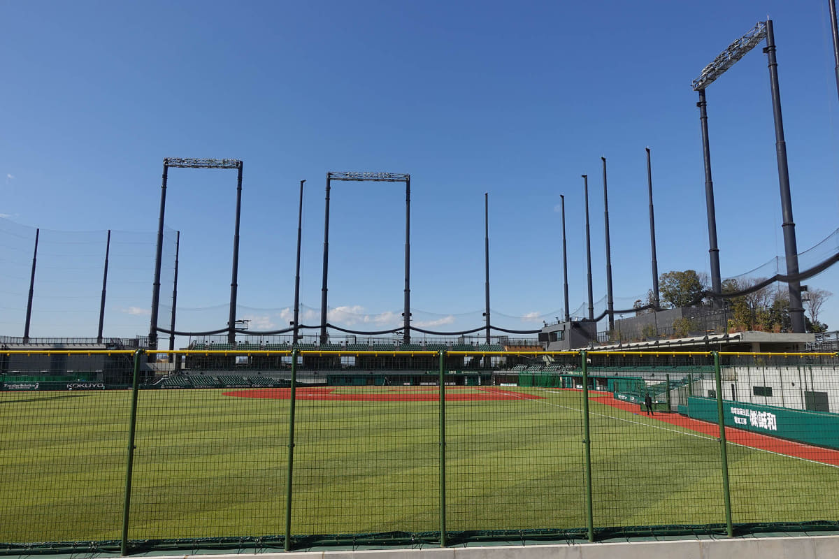 レフト外野席からの眺め