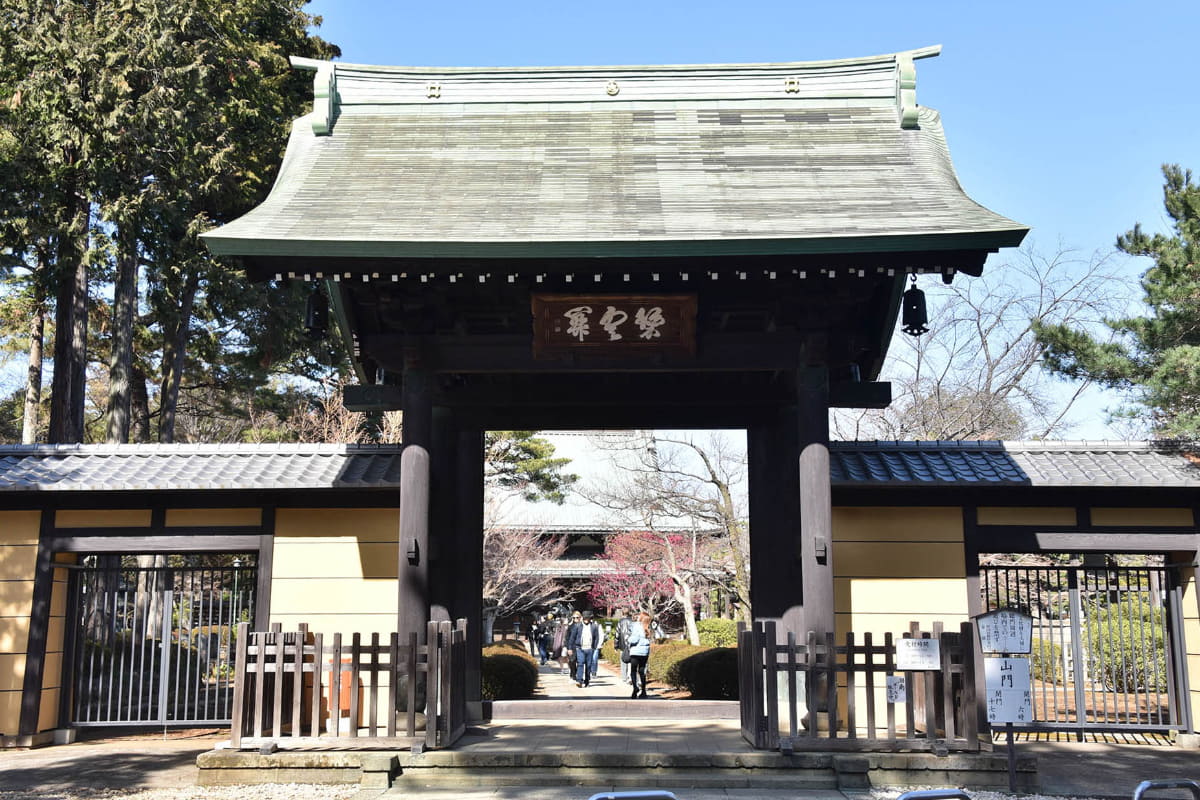 外国人観光客でにぎわう豪徳寺