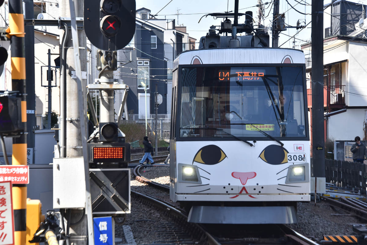 世田谷線には、豪徳寺の招き猫にあやかったラッピング電車が走る