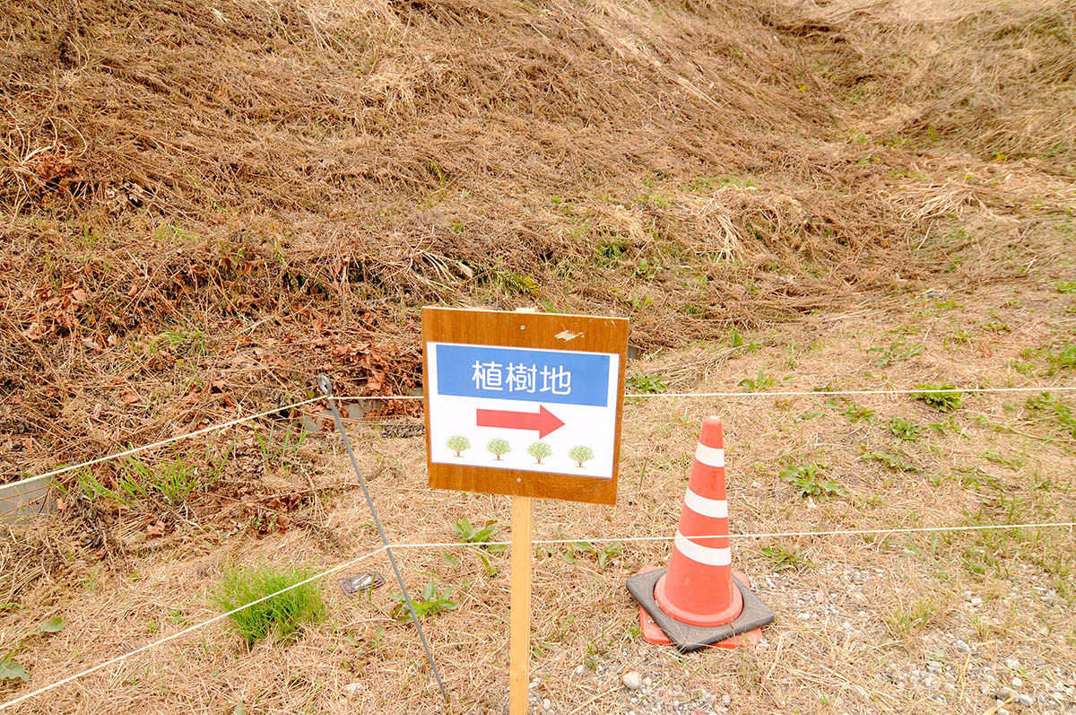 プレオープン中の海の森公園はあちこちに整備中の区画が残り、植樹中の看板があるので未完成感が漂っていた(2015年10月撮影)