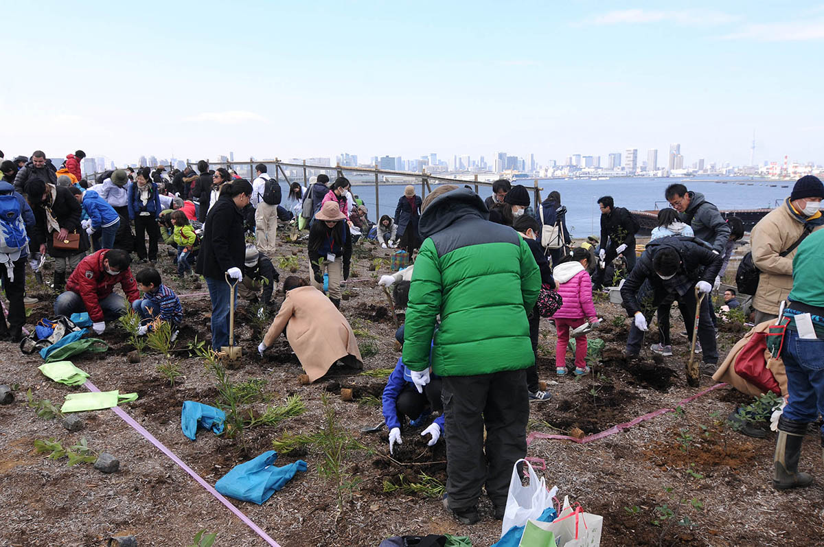 海の森公園では、公的機関による植樹イベントを定期的を開催して、公園としての整備を進めてきた(2016年3月撮影)