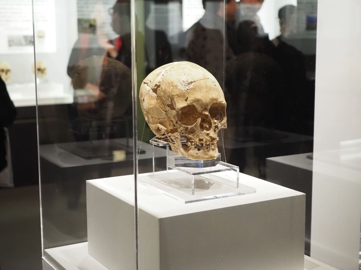 《船泊遺跡23号人骨(女性)》。礼文町教育委員会所蔵