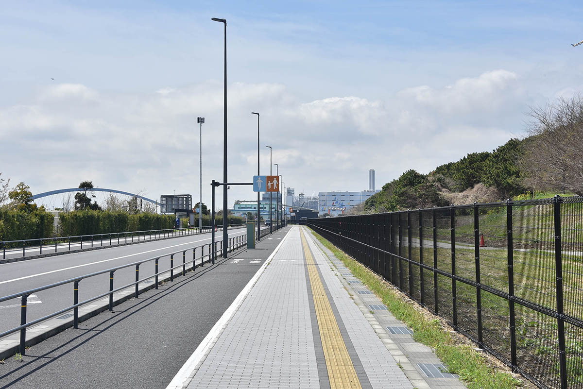 海の森公園沿いの公道。右が海の森公園、左が海の森水上競技場