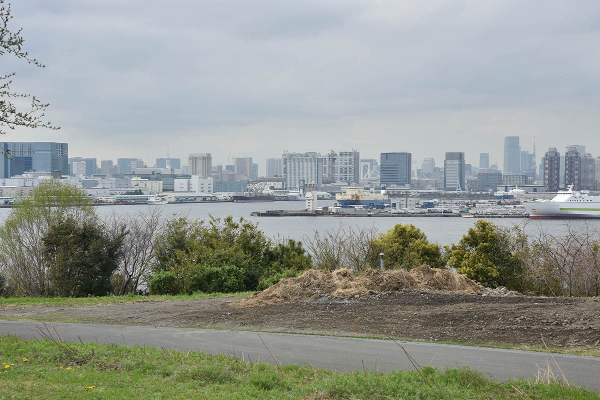 つどいの草原から小高い丘を登ると、北側にお台場を見られる展望スポットが整備されている