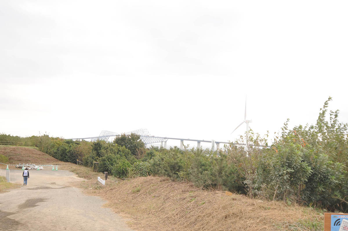海の森公園がプレオープンした2015年10月は、まだ園路が整備されていなかった(2015年10月撮影)