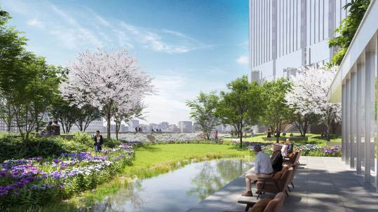 31m 基壇部上広場からの眺望