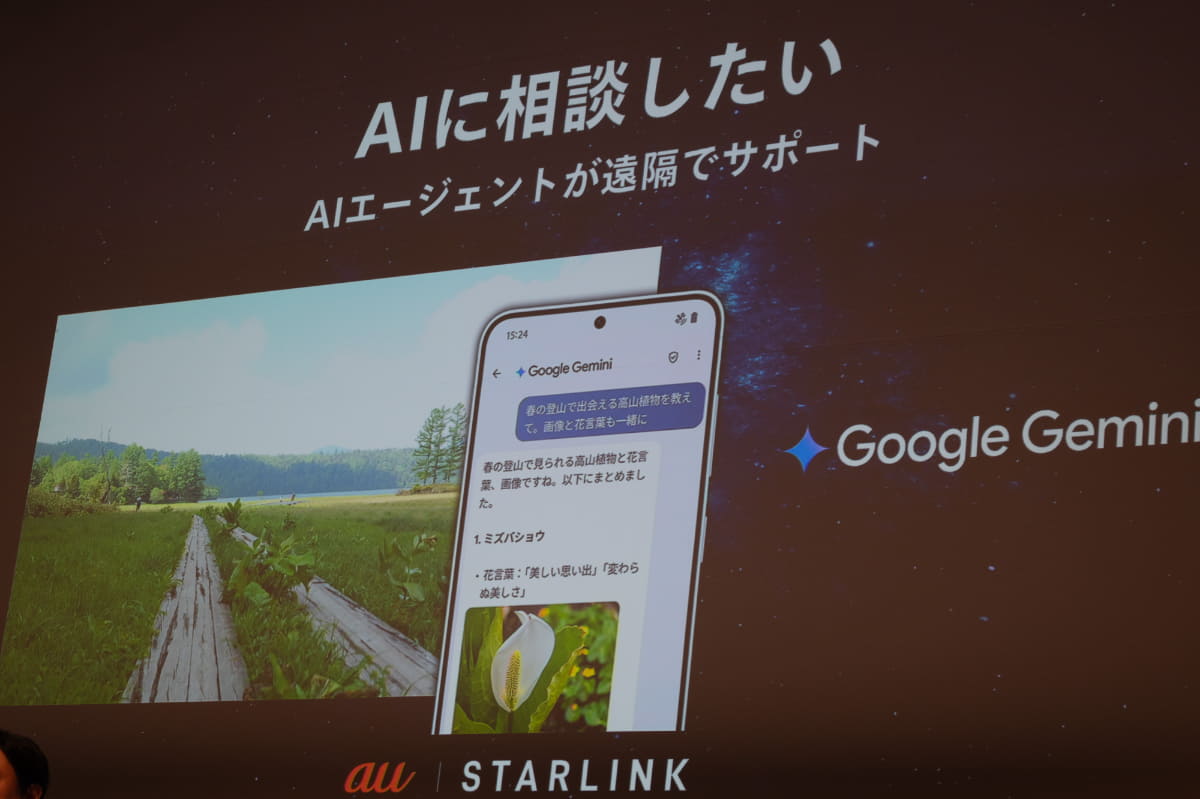 RCSをサポートするメッセージアプリではチャットを介してGeminiに相談が可能。情報の検索なども行なえる