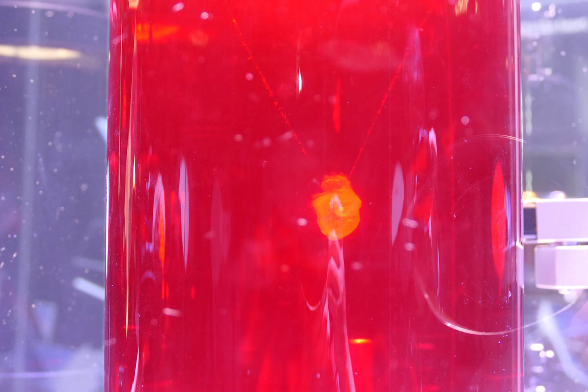 心筋シートを使った「動くiPS心臓」