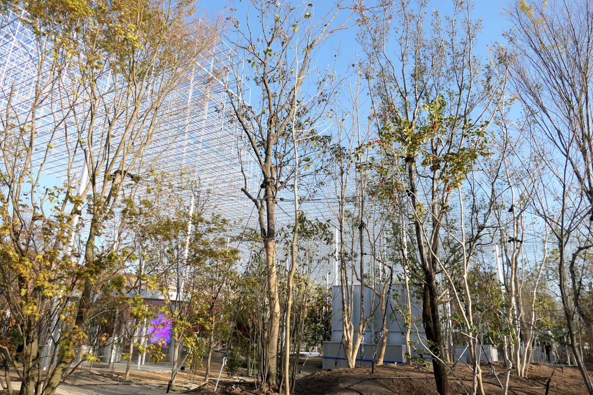 宮田パビリオン「Better Co-Being」。建物がないパビリオン