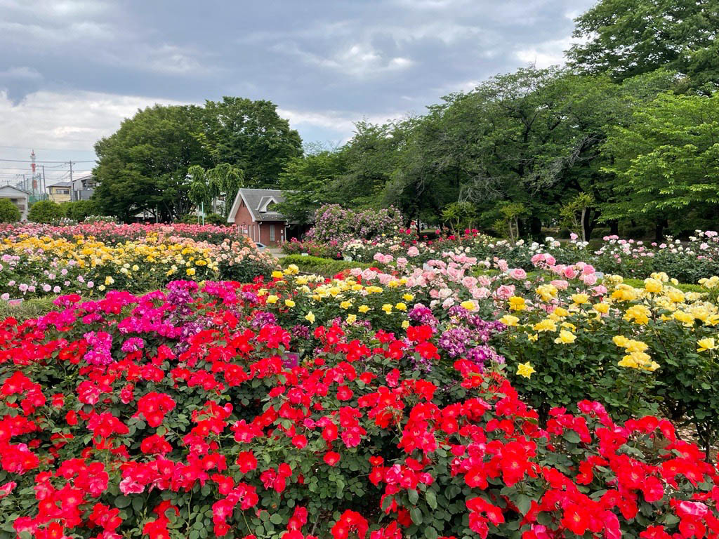出典：与野公園公式HP