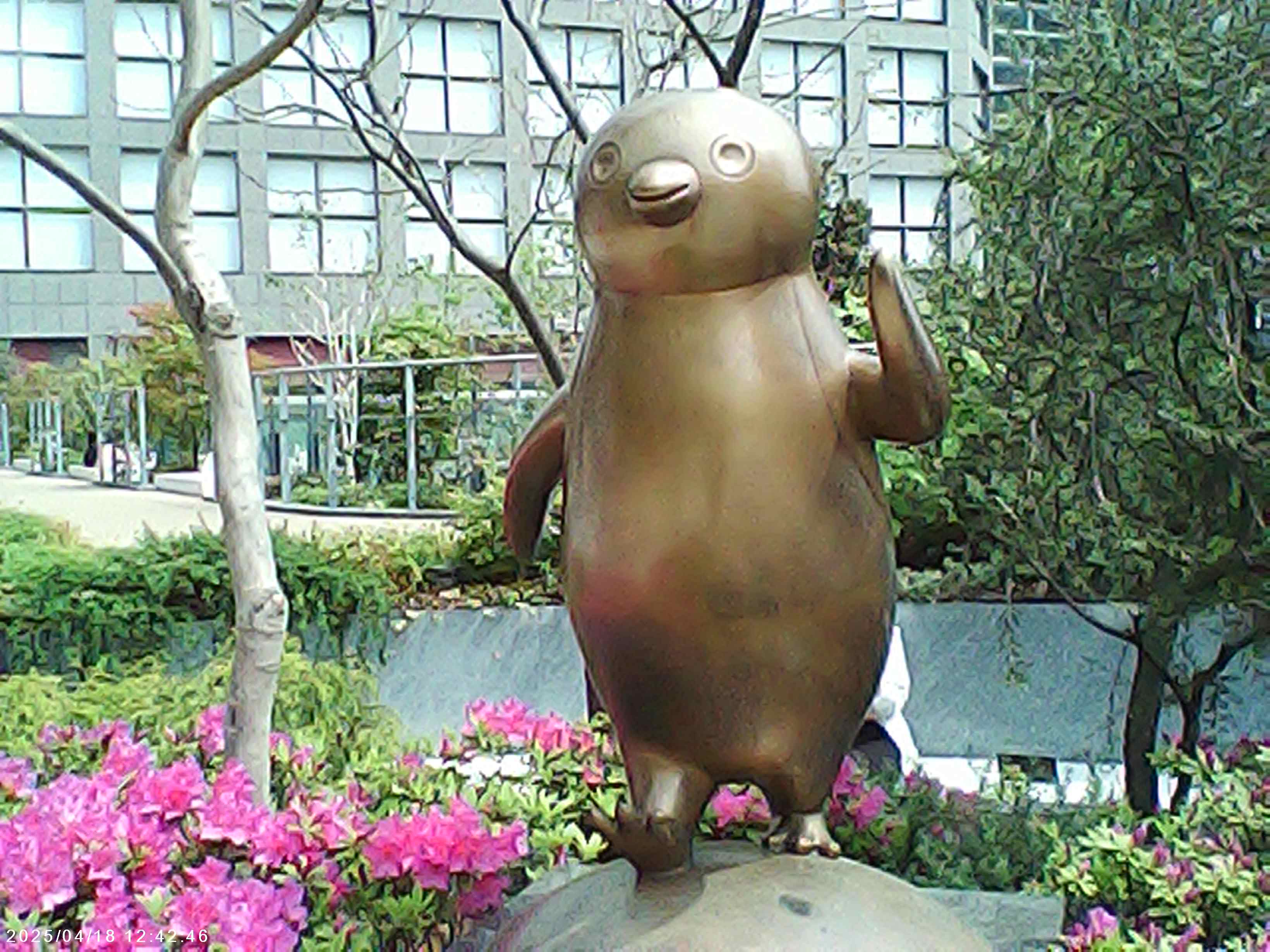 写真の作例は全て8Mモード。左下に日時が入っていますがこれはOFFにもできます。花などの色は鮮やかに出ていました