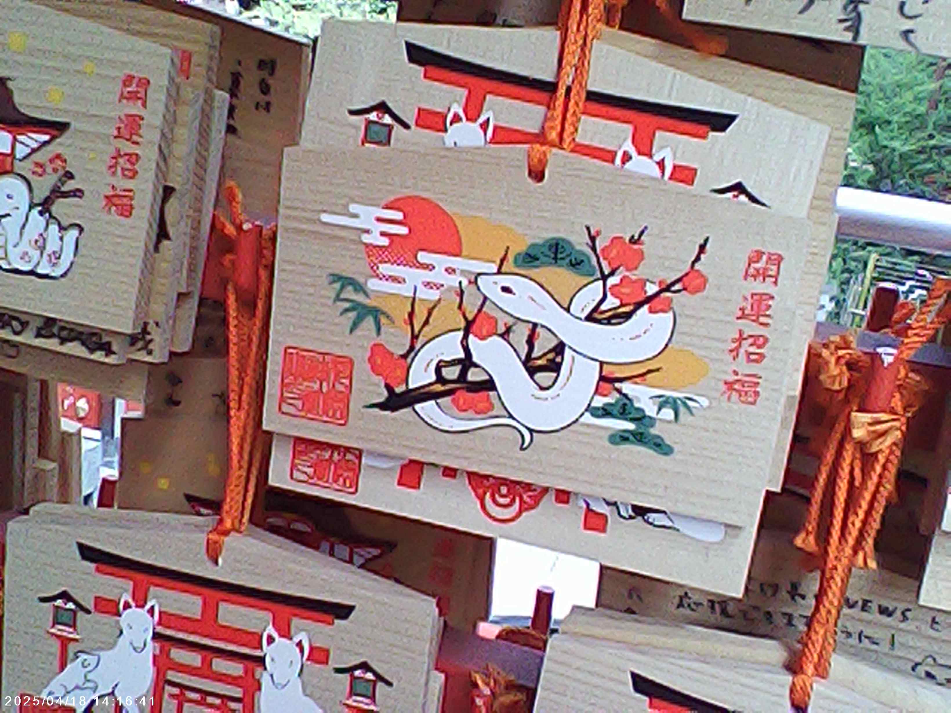 接近して撮影してもピンボケにはならないので使いやすいと思います