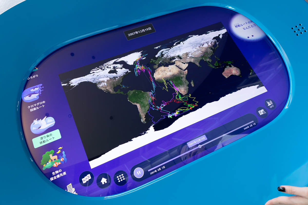 こちらは渡り鳥の移動ルート。アニメで軌跡がわかります