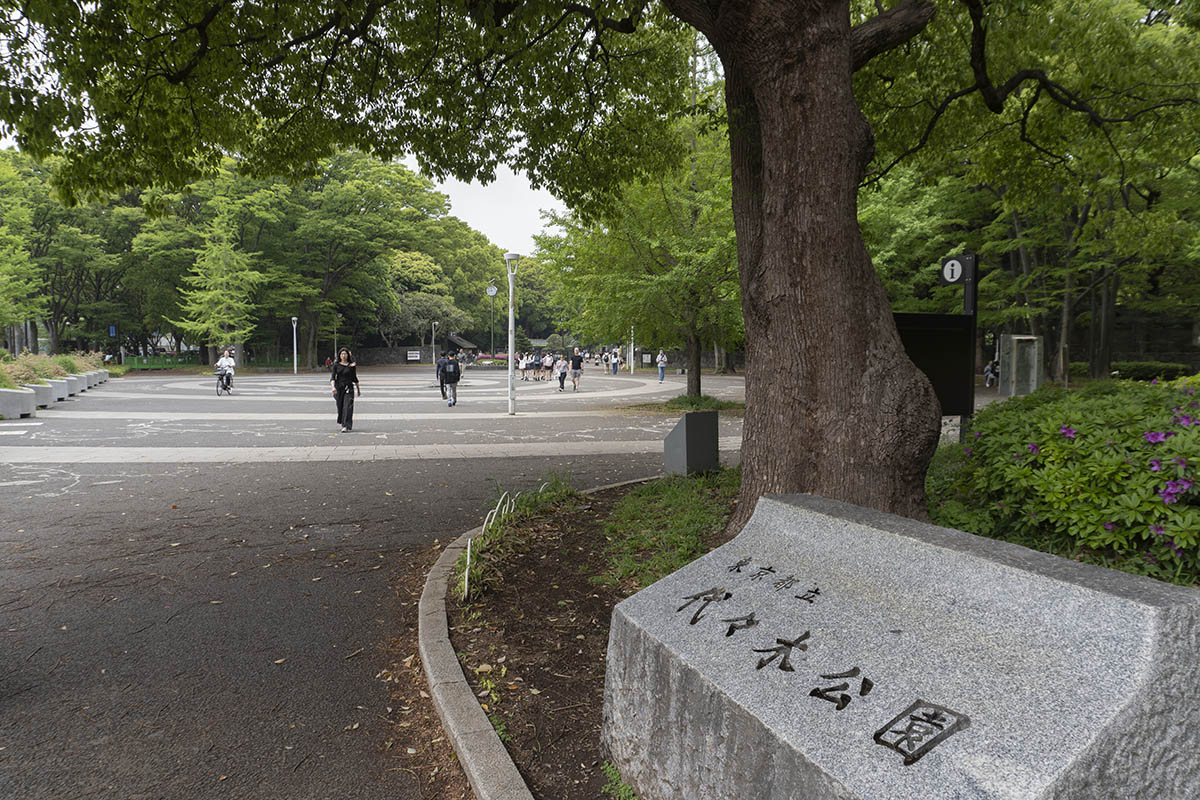 従来からお馴染みの代々木公園
