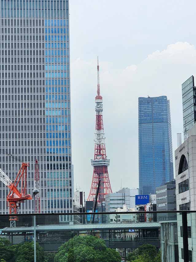 東京タワーも