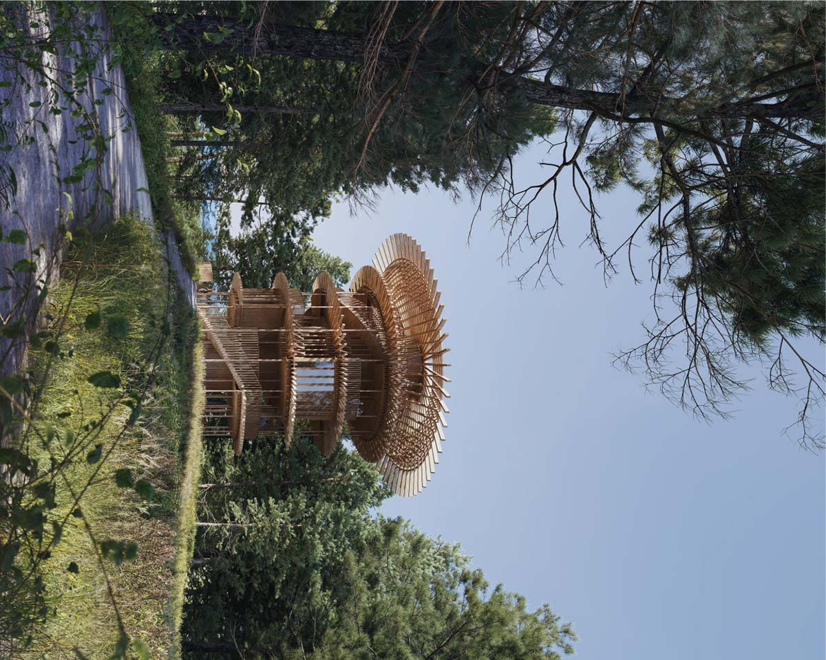 フォレストエリアの展望台