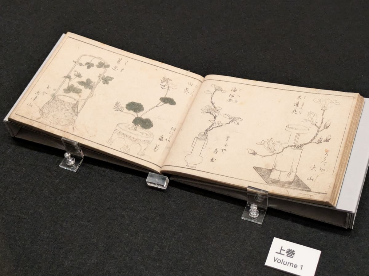 蔦重が初めて手掛けた出版物、紅薼陌人作/北尾重政画の《一目千本》。当時流行していた生け花に、遊女を見立てて紹介した、遊女評判記だ