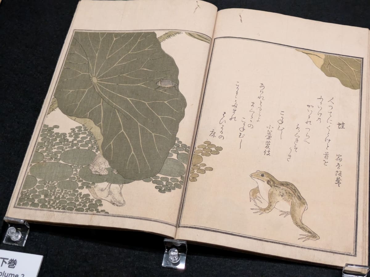 同じく《画本虫撰》。千葉市美術館蔵