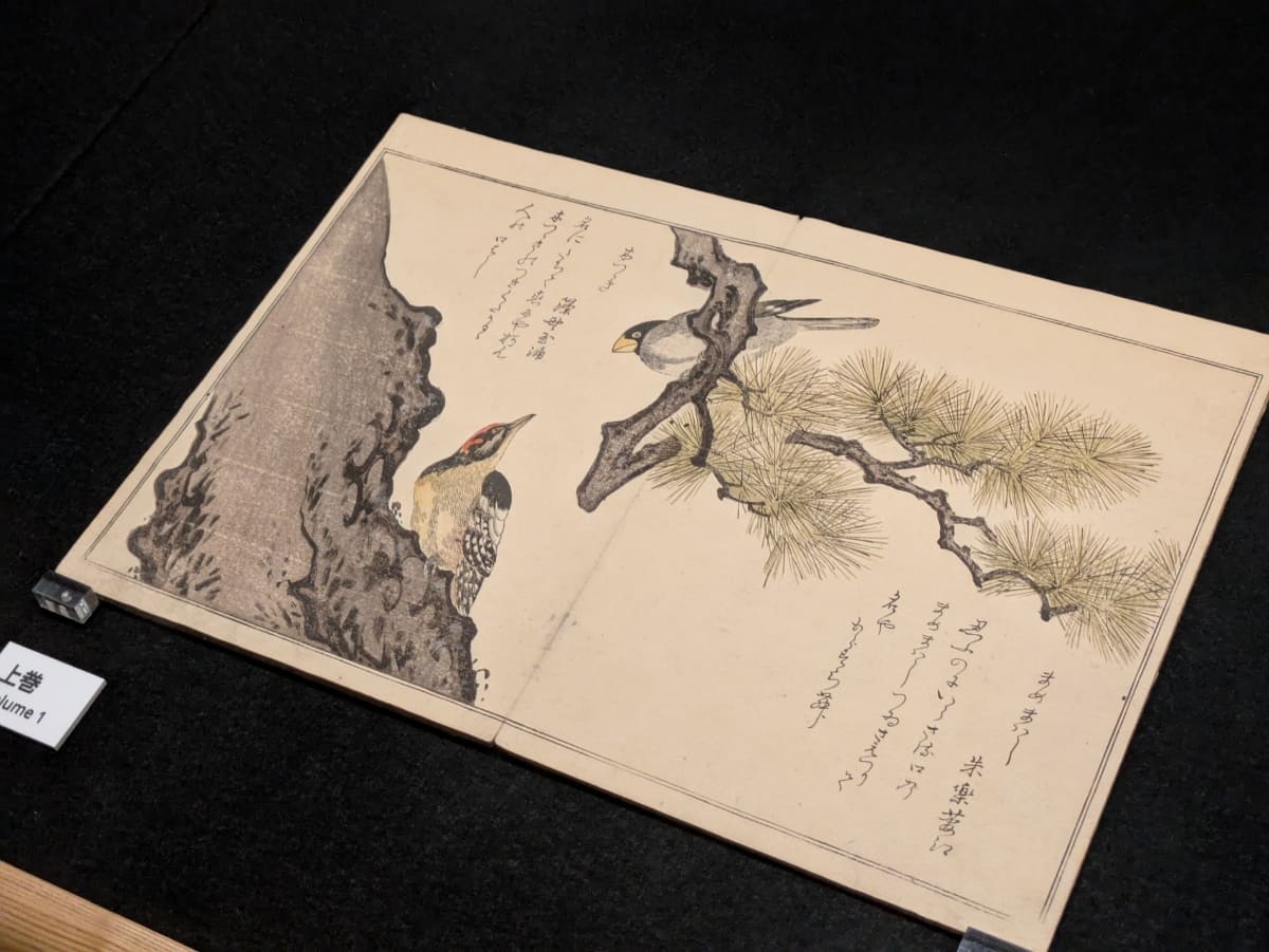寛政2年(1790年)頃に刊行された、赤松金鶏撰/喜多川歌麿画の《百千鳥狂歌合(ももちどりきょうかあわせ)》。千葉市美術館蔵