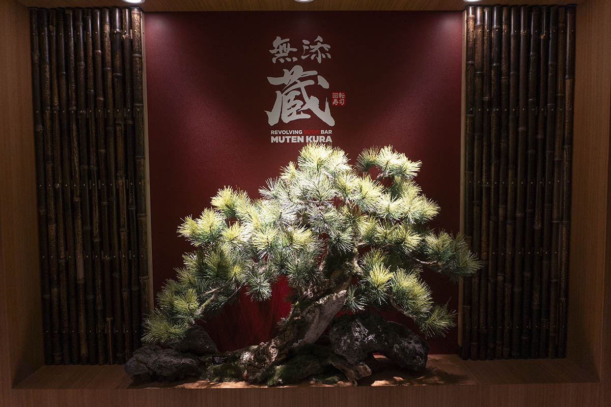 店内には盆栽が飾られていた