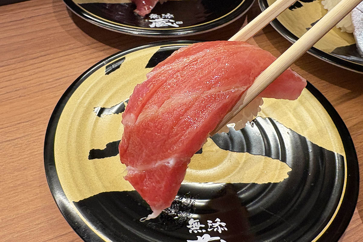 地中海本まぐろ大とろ