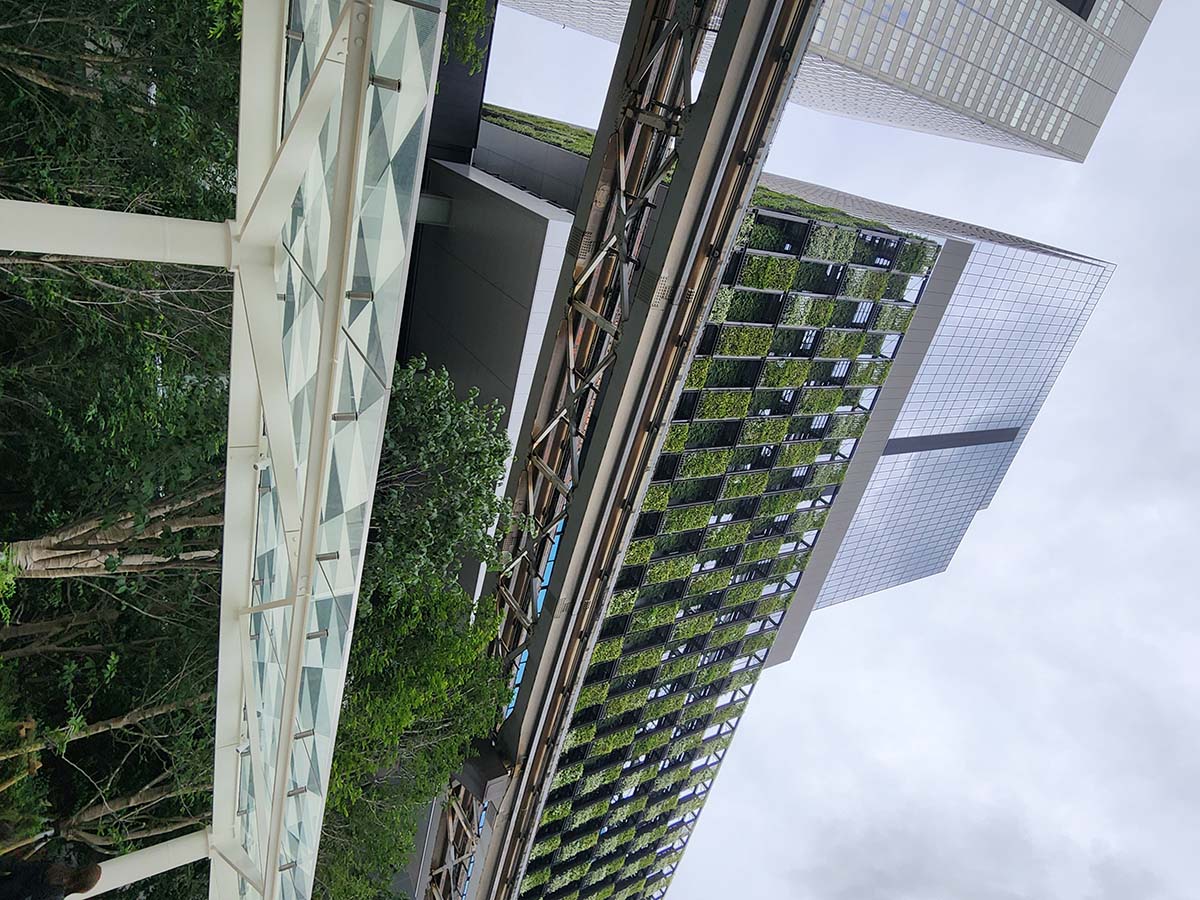 南側の一棟目「TOWER S」は3月に竣工。地上43階、地下3階で構成