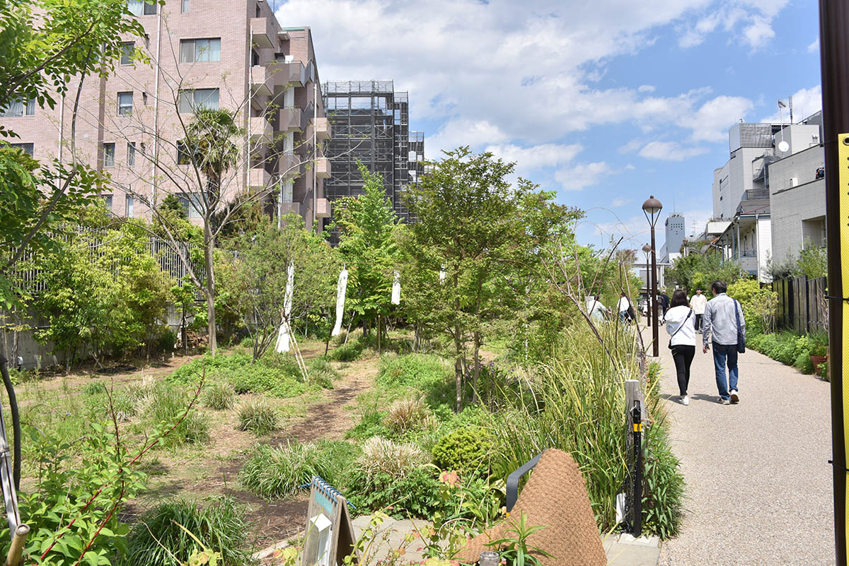 小田急線線路跡地でシモキタ園藝部がハーブを育てたり、コンポストづくりをしている