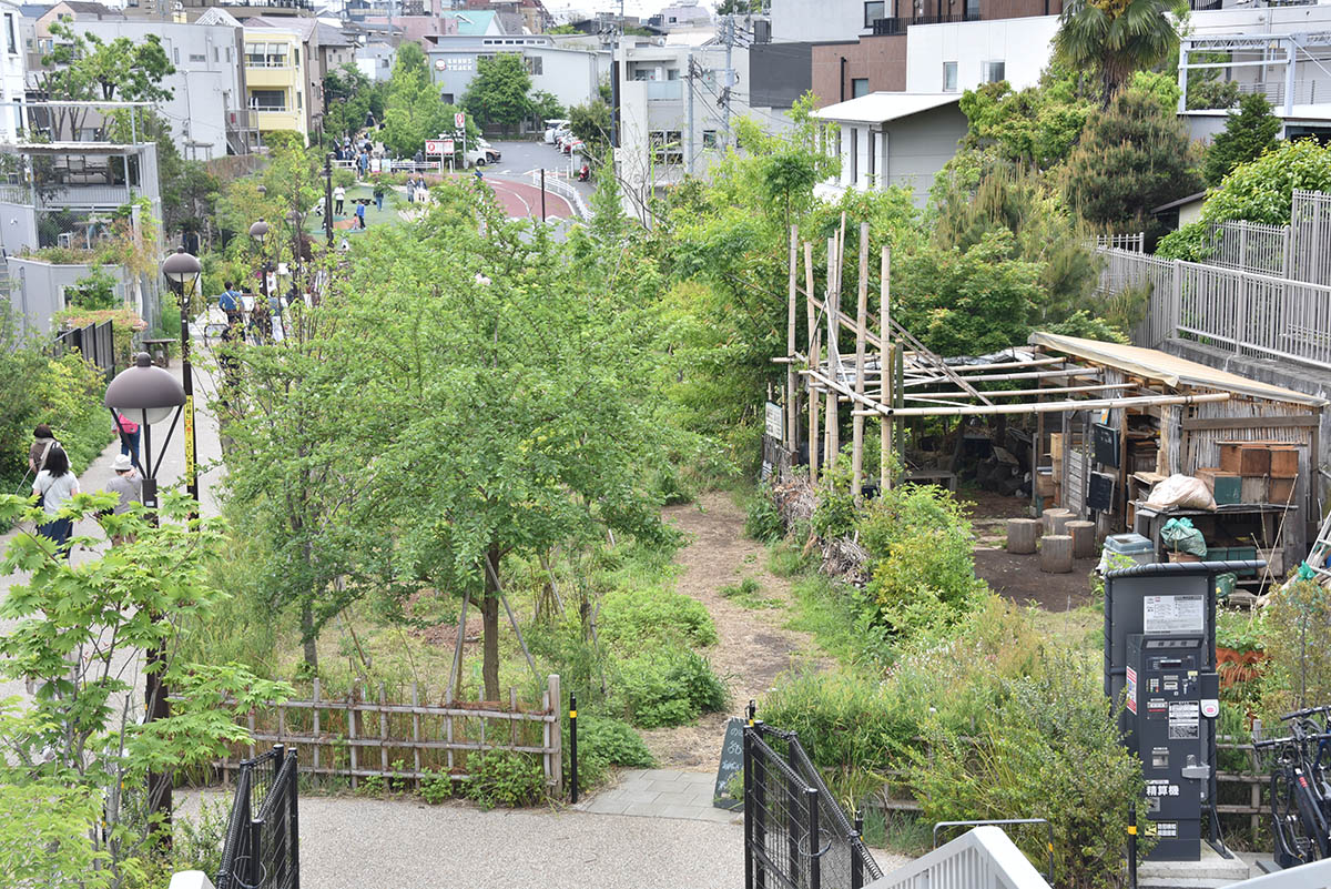 シモキタ園藝部による圃場とのはら