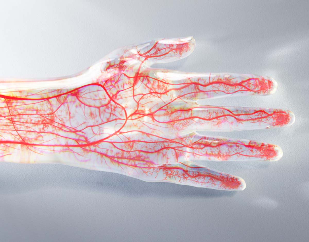 遠赤外線の効果により血行を促進