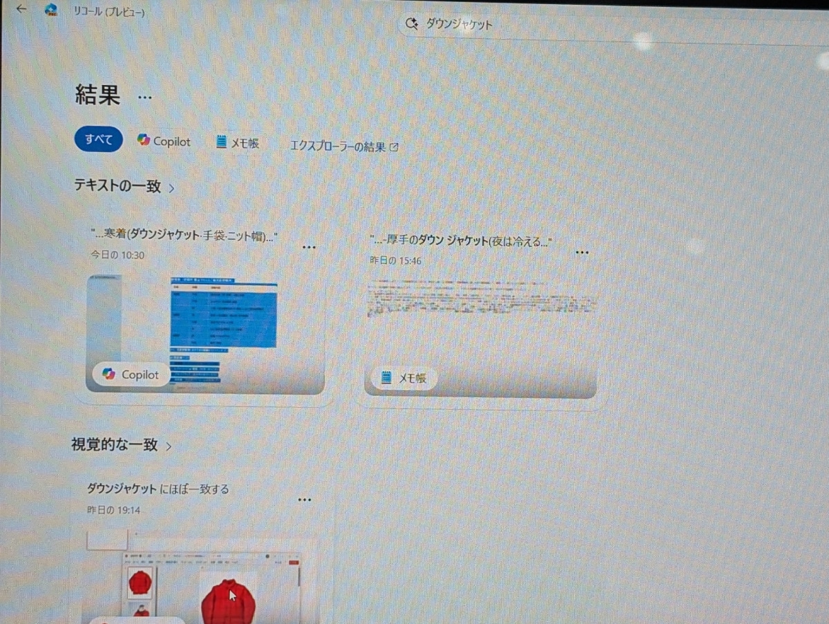 デモではダウンジャケットに関する過去の操作や画面を検索した