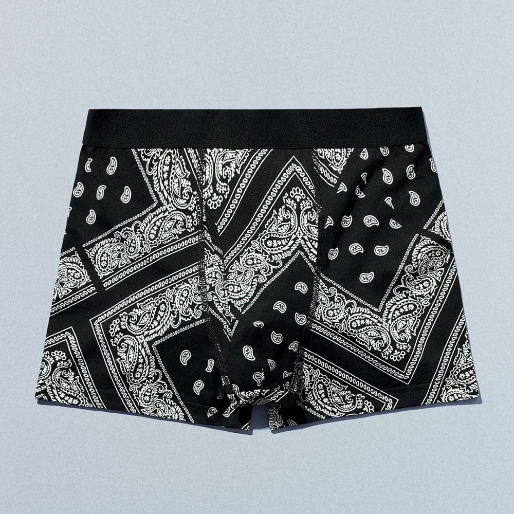 ボクサーパンツ(価格：880円)