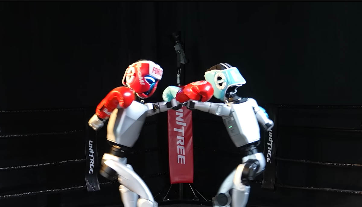 ヒューマノイドによるキックボクシング