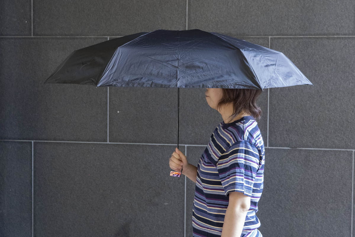 親骨の長さ61cm、直径約109cm