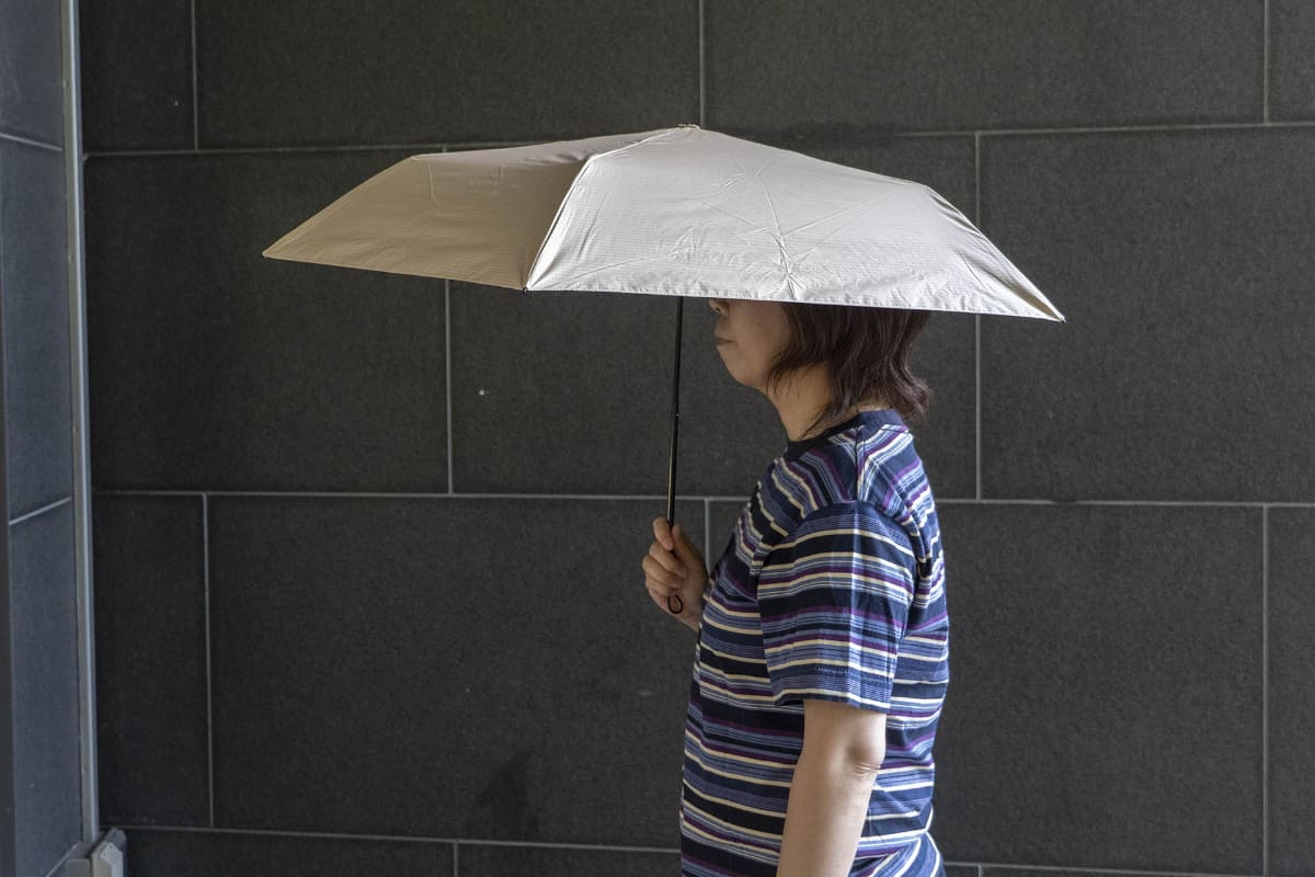 親骨の長さ50cm、直径約83cm