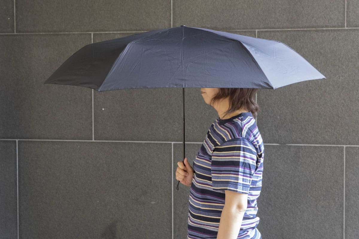 親骨の長さ60cm、直径約110cm