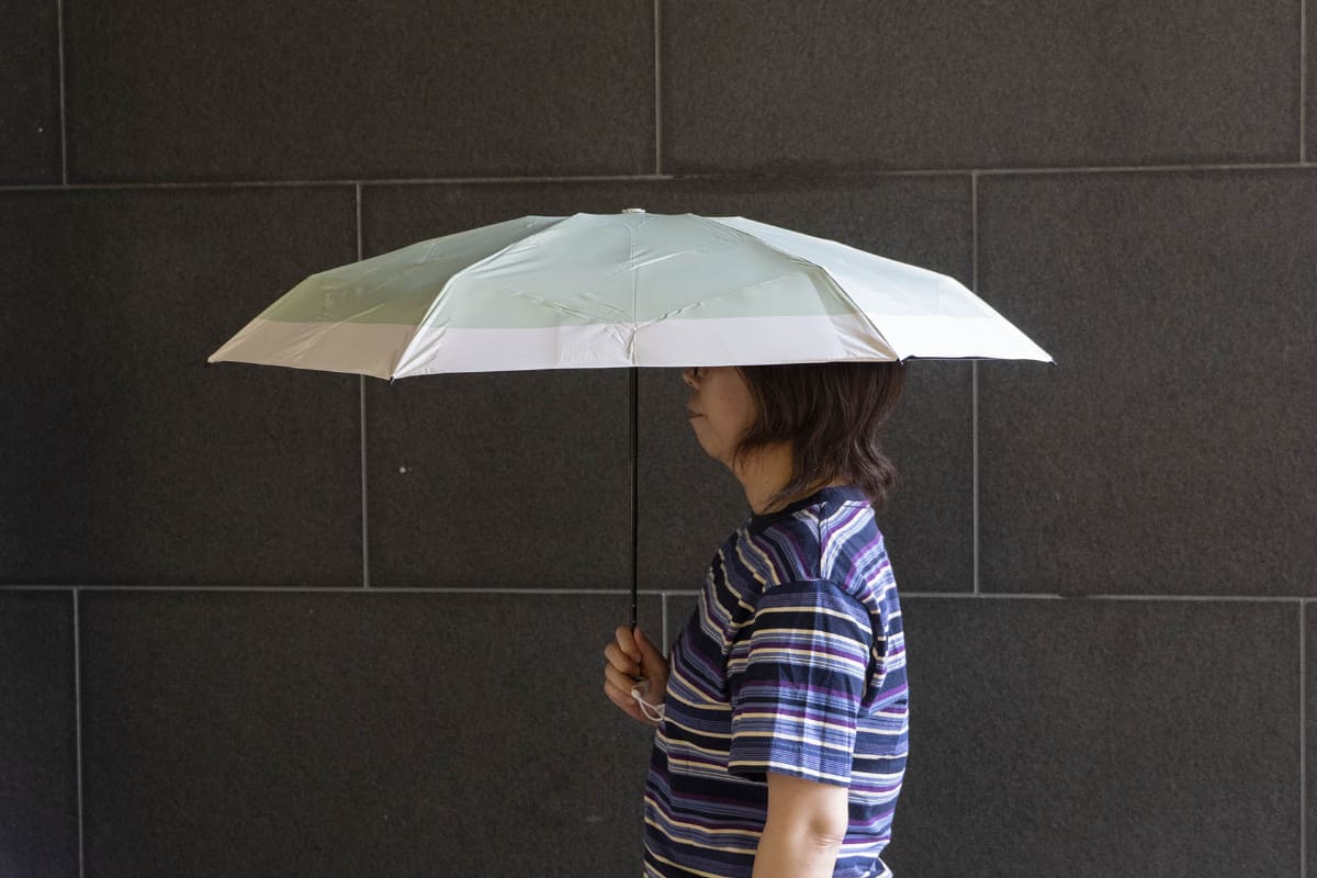 親骨の長さ50cm、直径約93cm