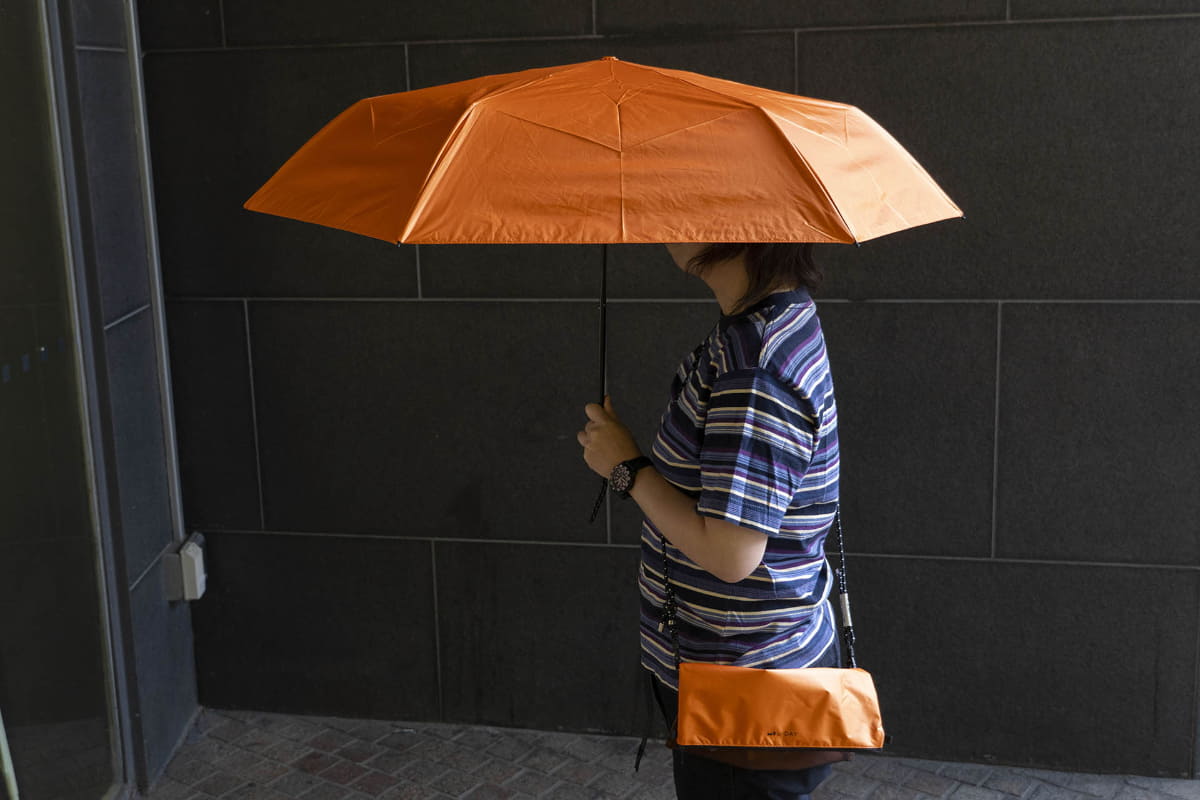 親骨の長さ55cm、直径97cm