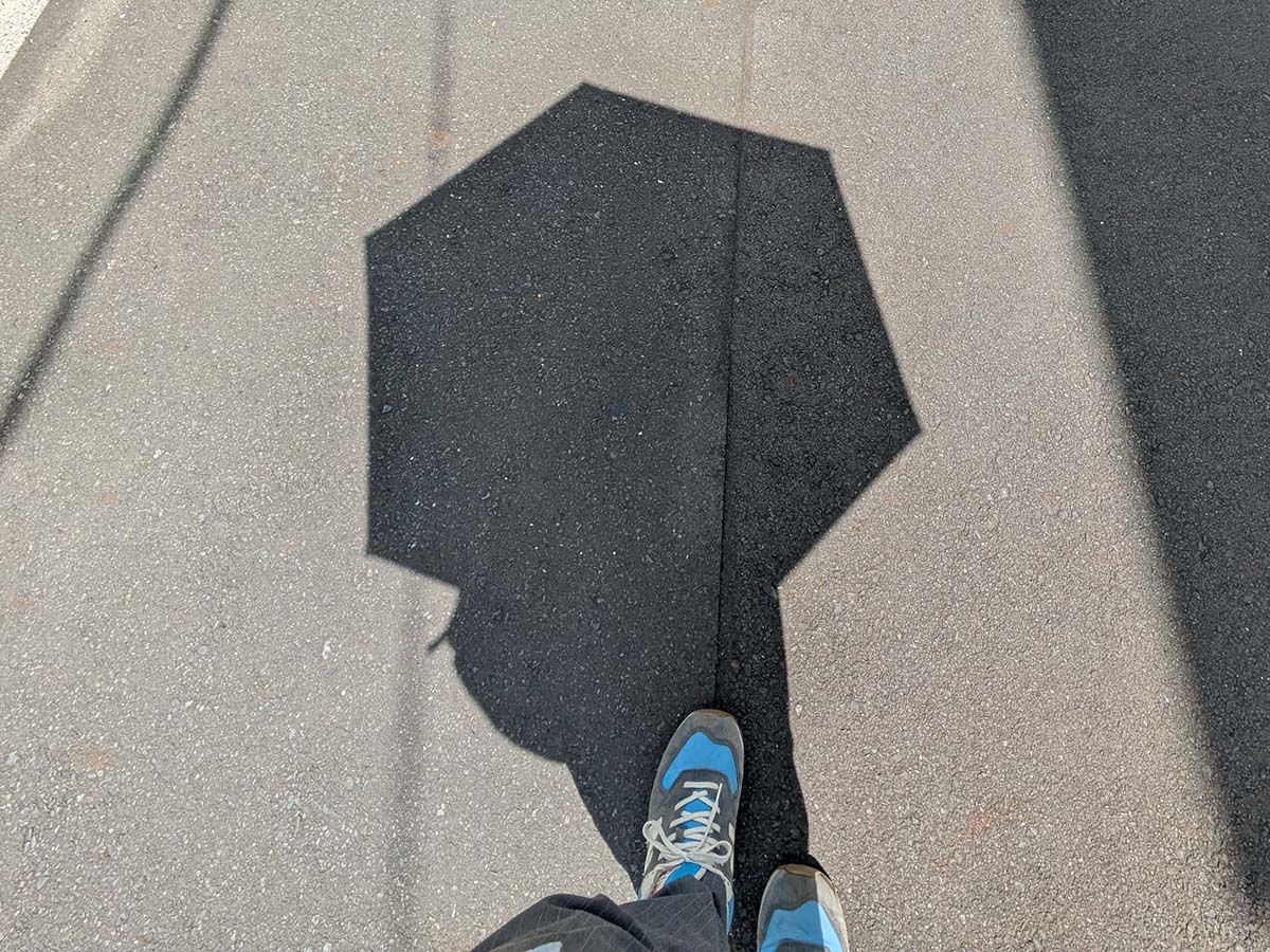 陽差しを遮るのには十分な広さ