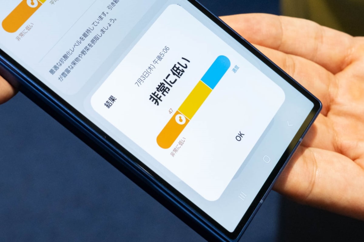 抗酸化指数の計測結果
