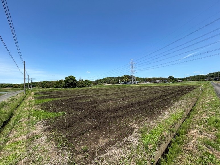 実証圃場の様子
