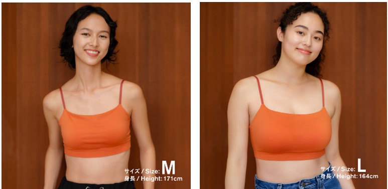 「ブラウェア」テラコッタ