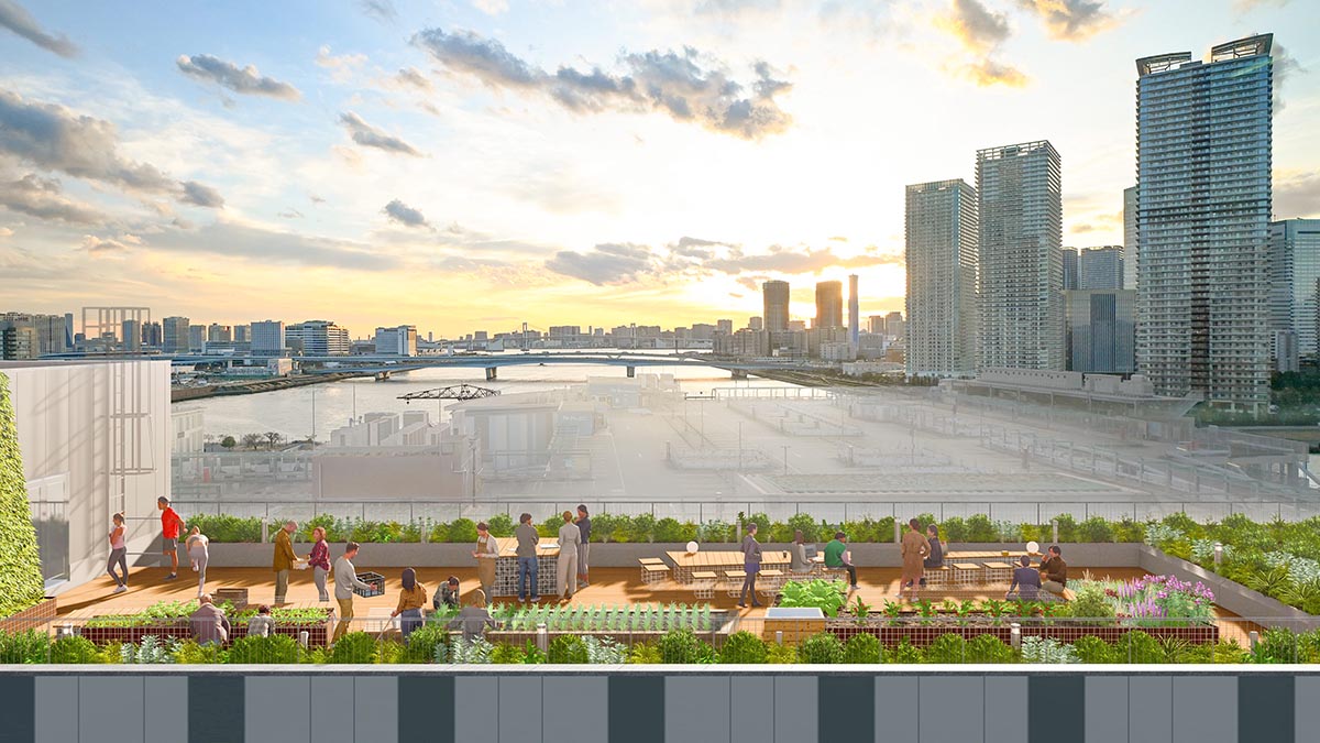 菜園付きルーフトップ