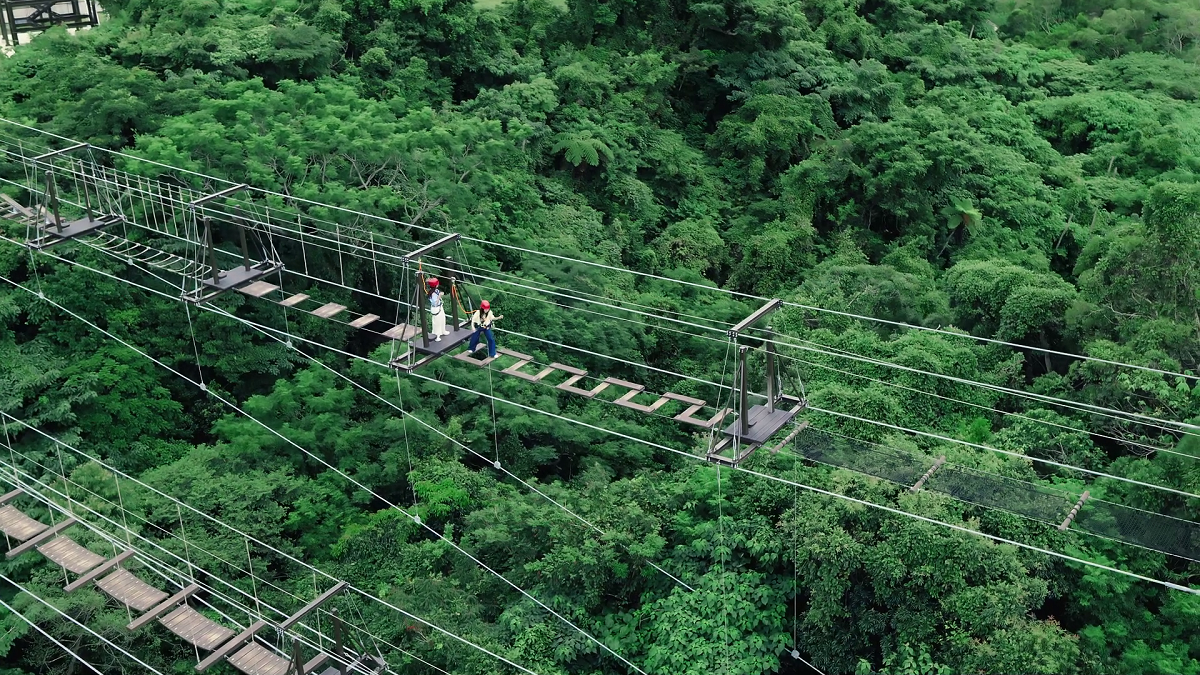 ジャングルの上を渡る吊橋「スカイエンド トレッキング」　画像提供：ジャパンエンターテイメント
