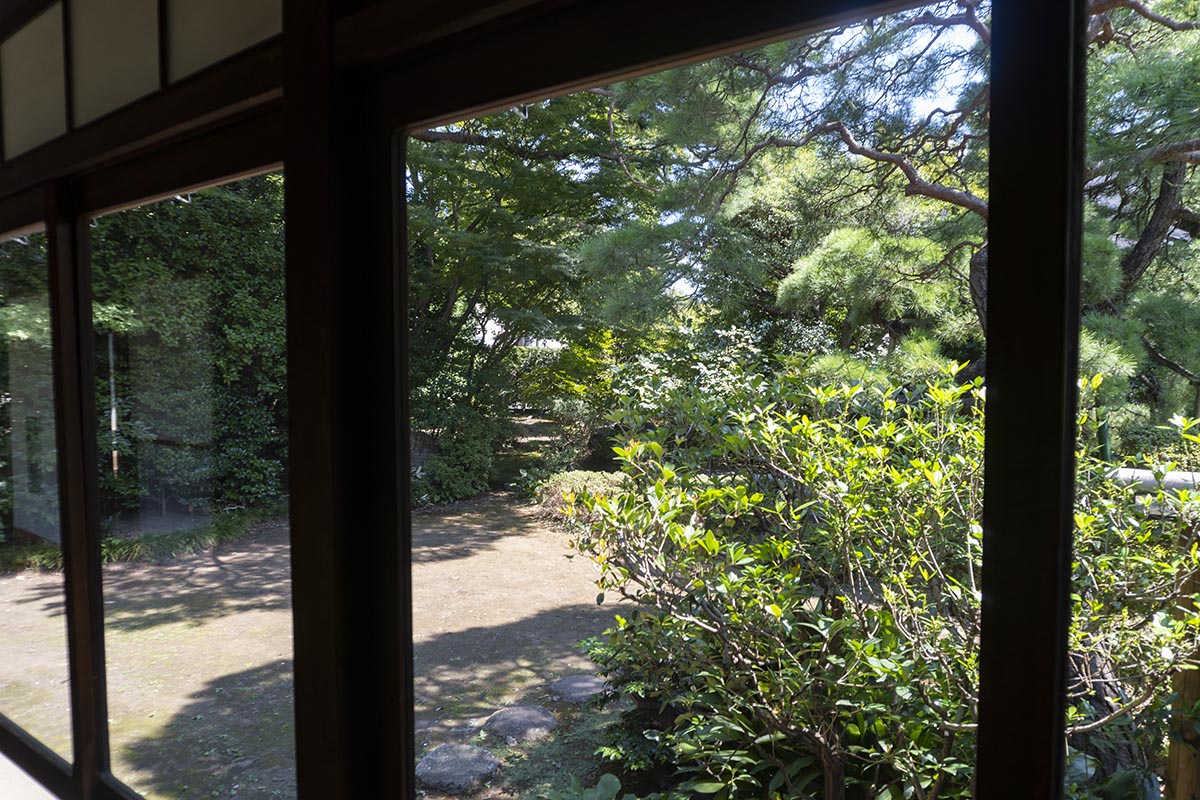 縁側から見た庭