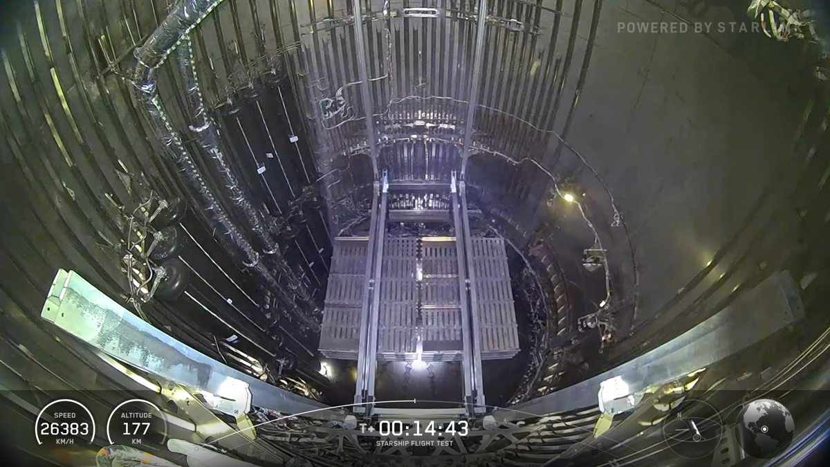 スターシップのカーゴベイ(SpaceXの配信より)