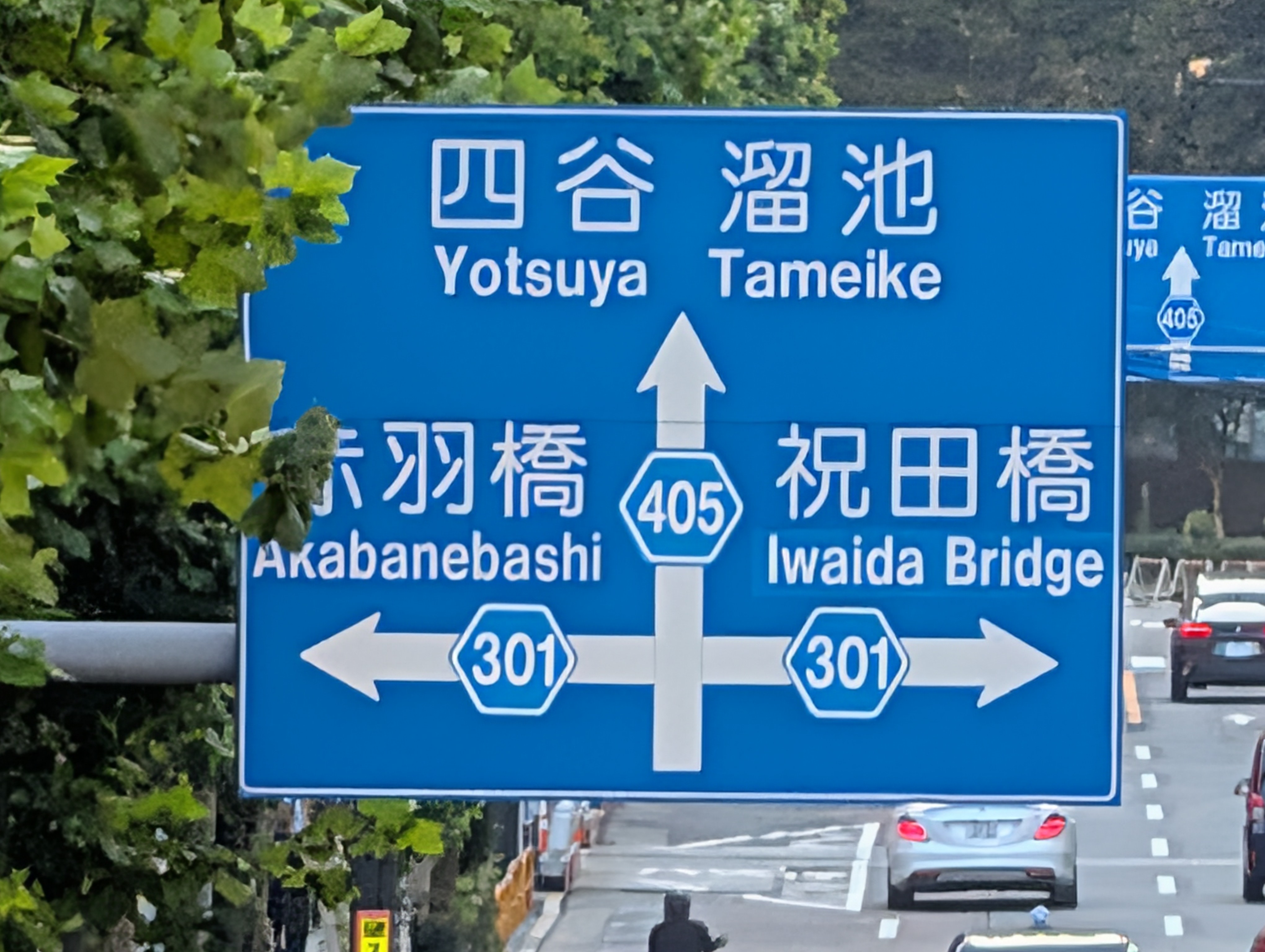 30倍のオリジナル画像