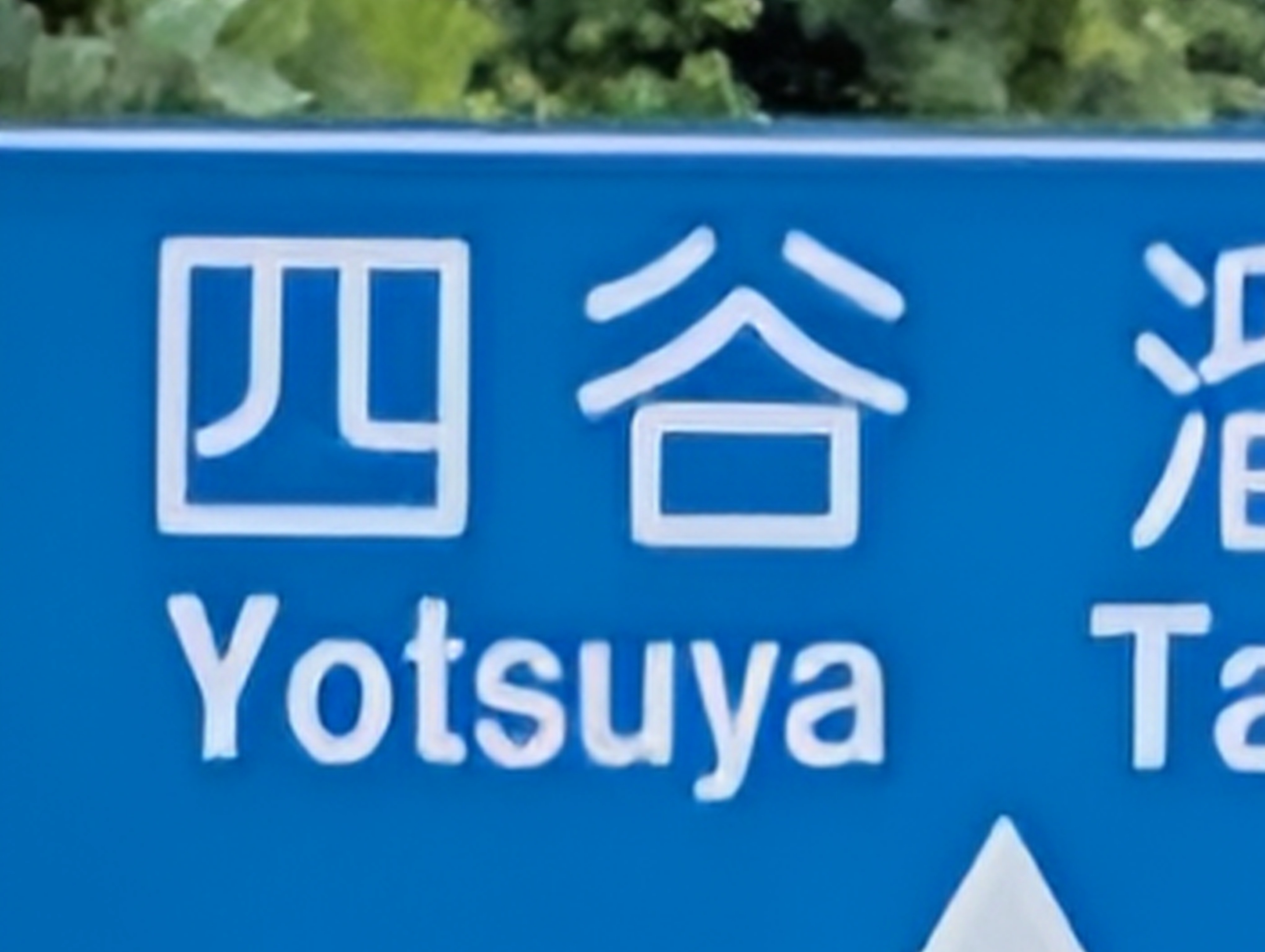 100倍のオリジナル画像