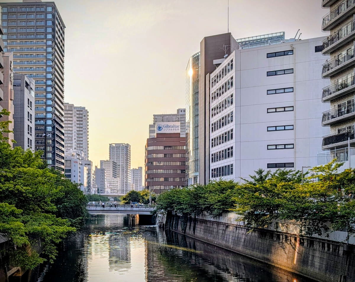 Pixel 10 Pro XLで撮影後、搭載されたAIツールで画角や明るさなどを調整。簡単に印象的な写真ができる良い機能だ