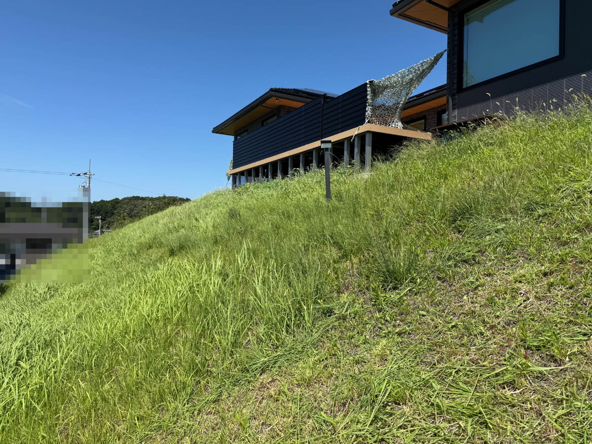 筆者ん家の法面。夏に1カ月も経てば草でモサモサになる