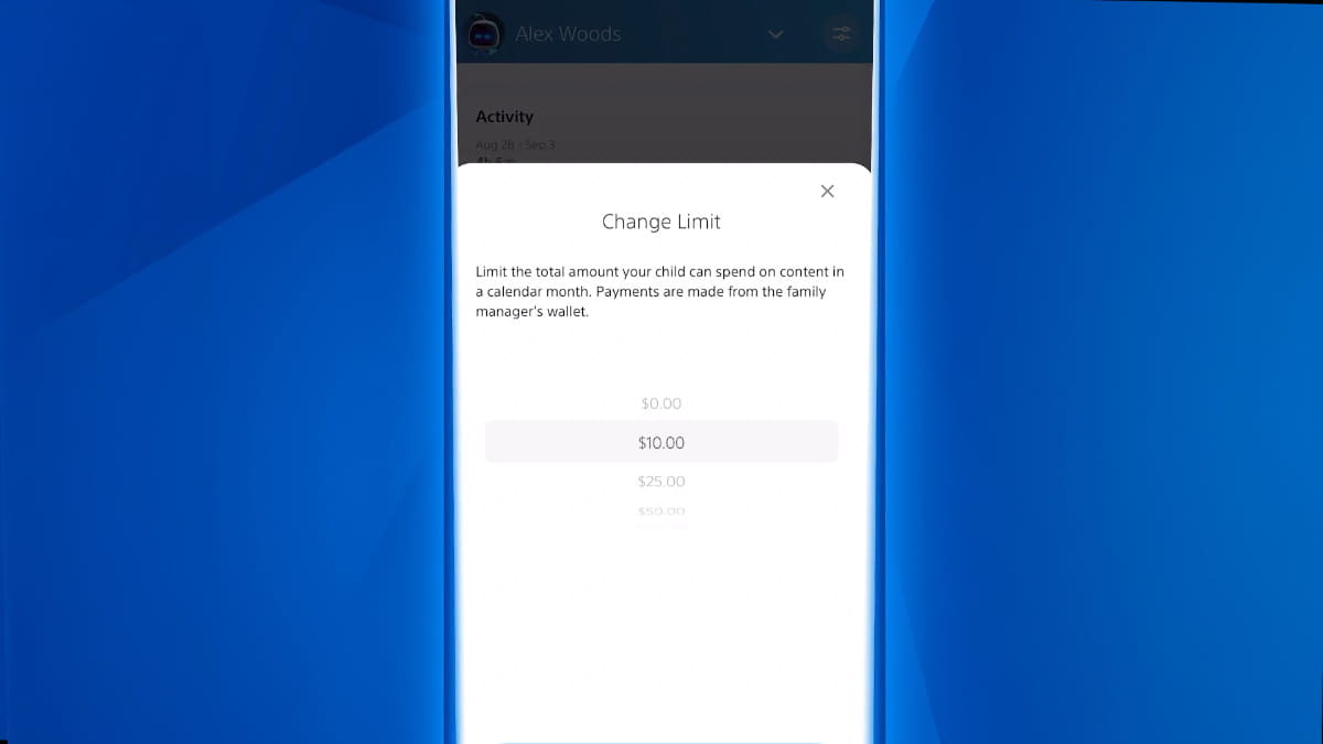 利用金額の上限設定